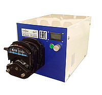 ���� �������