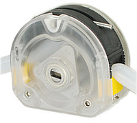 ������� ��� ������������������ ��������